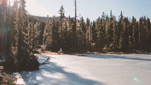 Preview wallpaper lake, trees, sunlight, sky
