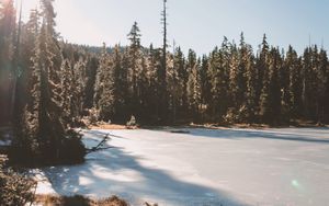 Preview wallpaper lake, trees, sunlight, sky
