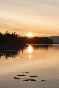 Preview wallpaper lake, trees, sunrise, sun, landscape