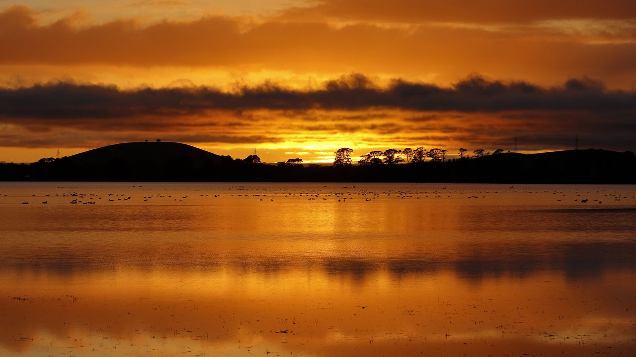 Wallpaper lake, trees, sunset, glare