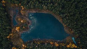 Preview wallpaper lake, trees, top view