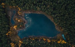 Preview wallpaper lake, trees, top view