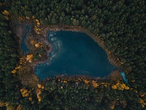 Preview wallpaper lake, trees, top view