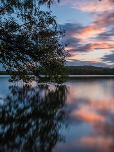 Preview wallpaper lake, trees, water, clouds, reflection