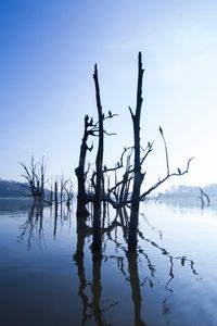 Preview wallpaper lake, trees, water, light, morning, nature