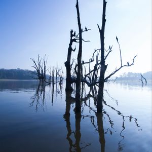 Preview wallpaper lake, trees, water, light, morning, nature