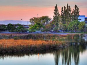 Preview wallpaper lake, vegetation, city, trees, buildings