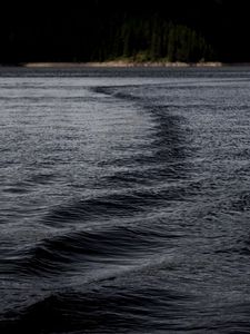 Preview wallpaper lake, water, ripples, dark