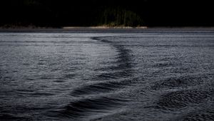 Preview wallpaper lake, water, ripples, dark