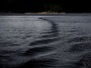 Preview wallpaper lake, water, ripples, dark