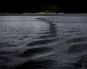 Preview wallpaper lake, water, ripples, dark