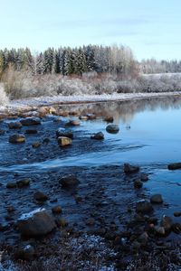 Preview wallpaper lake, water, stones, snow, trees, winter, forest, nature