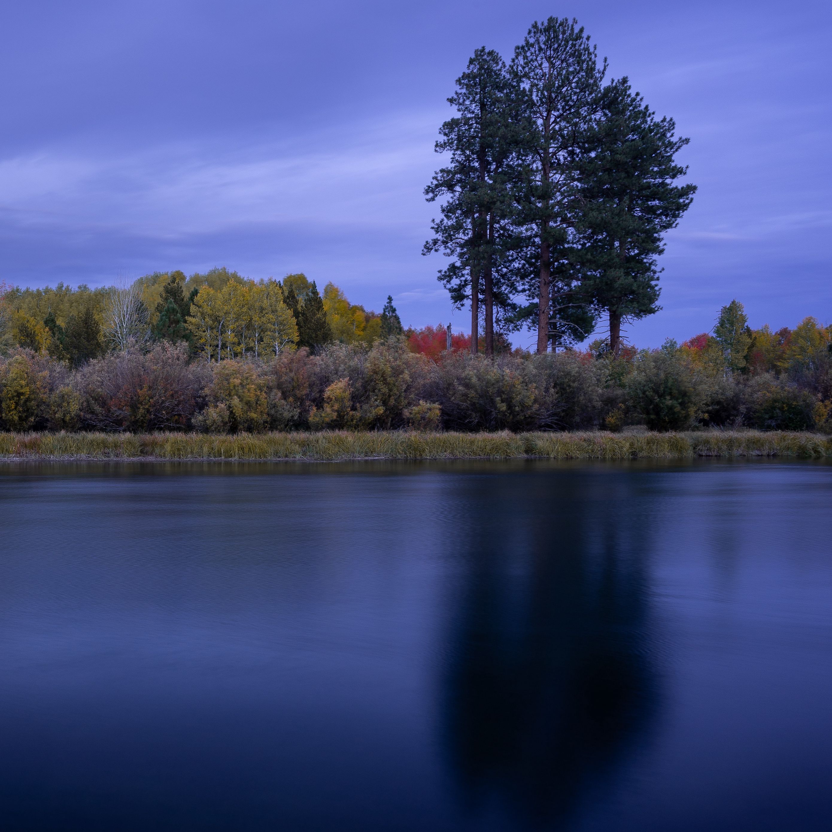 Download Wallpaper 2780x2780 Lake Water Trees Shore Landscape Ipad 