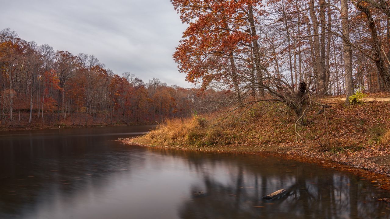 Wallpaper lake, water, trees, autumn, landscape