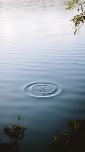 Preview wallpaper lake, water, waves, circles, surface