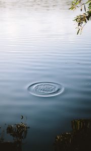 Preview wallpaper lake, water, waves, circles, surface