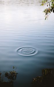 Preview wallpaper lake, water, waves, circles, surface