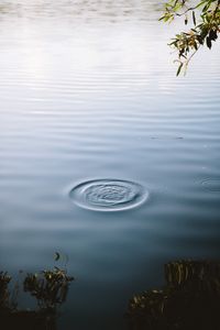 Preview wallpaper lake, water, waves, circles, surface