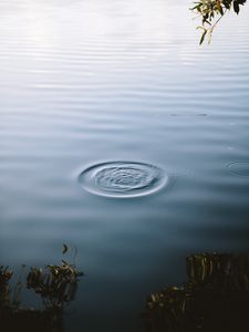 Preview wallpaper lake, water, waves, circles, surface