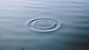 Preview wallpaper lake, water, waves, circles, surface