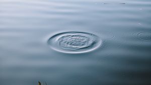 Preview wallpaper lake, water, waves, circles, surface