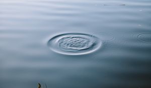 Preview wallpaper lake, water, waves, circles, surface