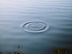 Preview wallpaper lake, water, waves, circles, surface