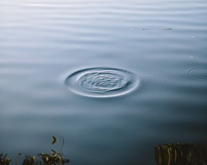 Preview wallpaper lake, water, waves, circles, surface