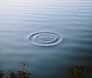 Preview wallpaper lake, water, waves, circles, surface