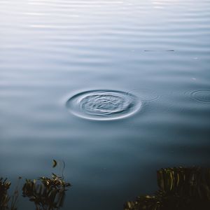 Preview wallpaper lake, water, waves, circles, surface