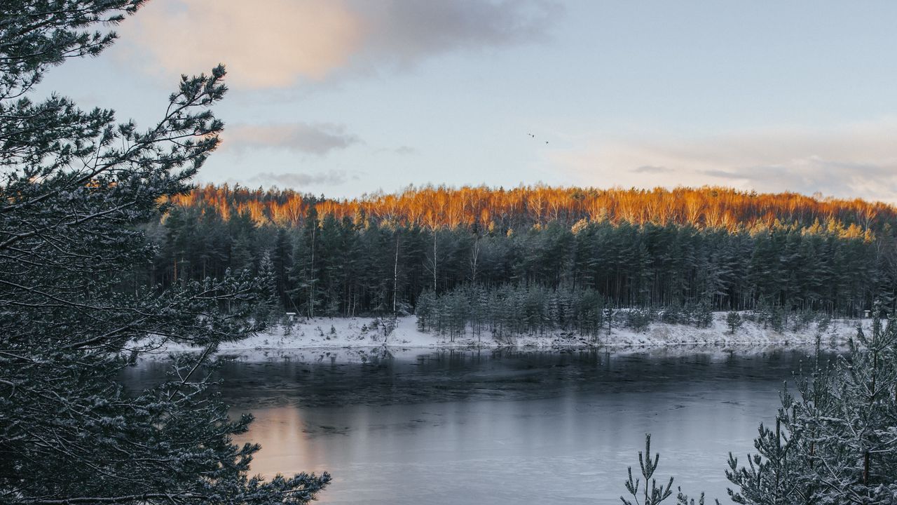 Wallpaper lake, winter, snow, frost, winter landscape