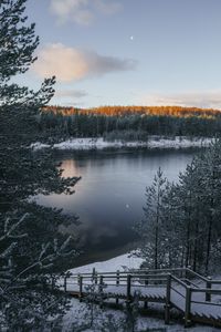 Preview wallpaper lake, winter, snow, frost, winter landscape