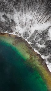 Preview wallpaper lake, winter, snow, aerial view, trees