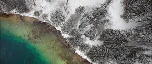 Preview wallpaper lake, winter, snow, aerial view, trees