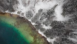 Preview wallpaper lake, winter, snow, aerial view, trees