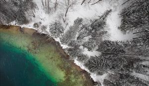 Preview wallpaper lake, winter, snow, aerial view, trees