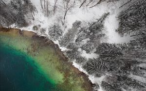 Preview wallpaper lake, winter, snow, aerial view, trees