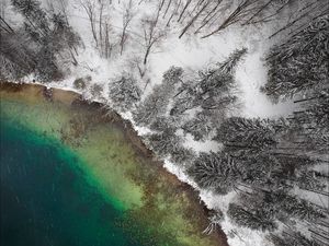 Preview wallpaper lake, winter, snow, aerial view, trees