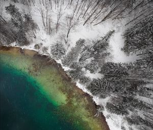 Preview wallpaper lake, winter, snow, aerial view, trees