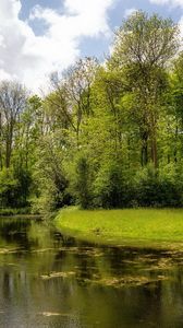 Preview wallpaper lake, wood, coast, water, surface, algas