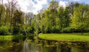 Preview wallpaper lake, wood, coast, water, surface, algas