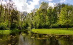 Preview wallpaper lake, wood, coast, water, surface, algas