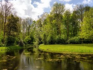 Preview wallpaper lake, wood, coast, water, surface, algas