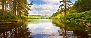Preview wallpaper lake, wood, trees, coast, brightly, summer, midday, clouds, water, transparent