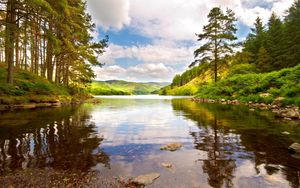 Preview wallpaper lake, wood, trees, coast, brightly, summer, midday, clouds, water, transparent