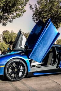 Preview wallpaper lamborghini, aventador, blue, street, trees