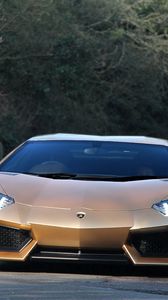 Preview wallpaper lamborghini, aventador, front view, green, road, trees