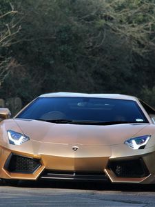 Preview wallpaper lamborghini, aventador, front view, green, road, trees