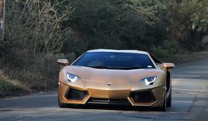 Preview wallpaper lamborghini, aventador, front view, green, road, trees