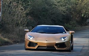 Preview wallpaper lamborghini, aventador, front view, green, road, trees